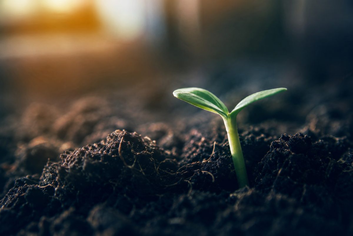 Biotech and agrochemistry